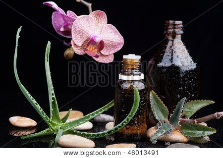 Ot yaprağı ve orkide bir aromaterapi Uçucu yağ ile