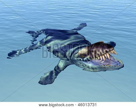 Dakosaurus