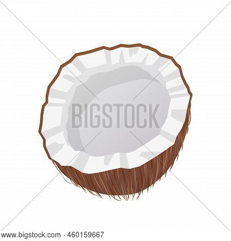 Coco Cut Cartoon. White Fruit, Half Nut, Fresh Tropical, Food Oil, Palm Shell Coco Cut Vector Illust
