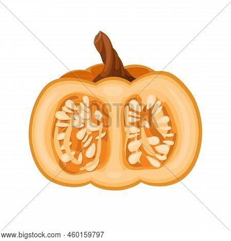 Pumpkin Cut Cartoon. Slice Autumn, Piece Food, Squash, Open Top Seed Pumpkin Cut Vector Illustration