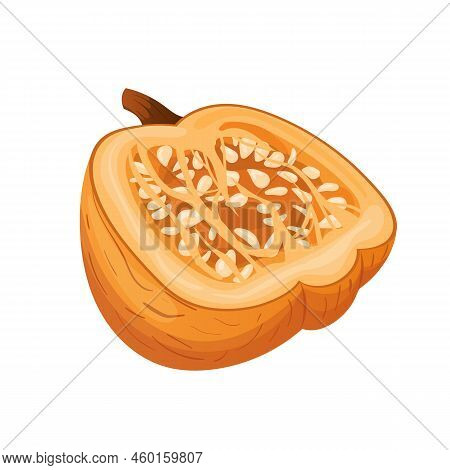 Pumpkin Cut Cartoon. Slice Autumn, Piece Food, Squash, Open Top Seed Pumpkin Cut Vector Illustration