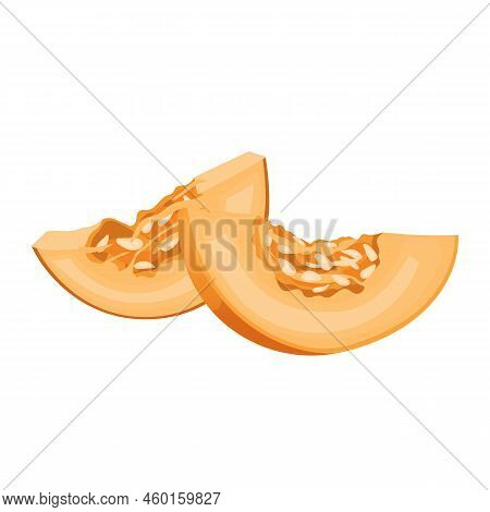 Pumpkin Slice Cartoon. Cut White Food Piece, Fresh Autumn, Top Squash Raw Orange Pumpkin Slice Vecto