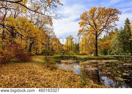Catherine Park Lamdscape In Autumn, Tsarskoe Selo (pushkin), Saint Petersburg, Russia