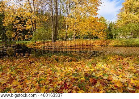 Autumn Foliage In Catherine Park, Pushkin, Saint Petersburg, Russia