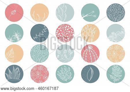 Highlight Cover Set, Abstract Floral Botanical Icons For Social Media. Vector Illustration. Watercol