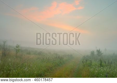 Serene Landscape In The Fog - The Shores Of Lake Otolovo In Belarus
