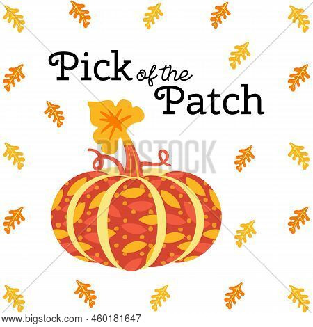 Fall Season Pumpkin Harvest Pick Of The Patch Background. Farm Vegetable Ornate Pumpkin Cartoon, Fal