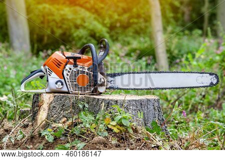 Close-up Of Petrol-powered Chain Saw Left By Arborist On Top Of Tree Stump