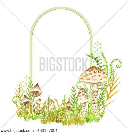 Poisonous Mushrooms Watercolor Frame, Toadstool, Inedible Toxic Mushroom With Ribbon Banner, Fly Aga