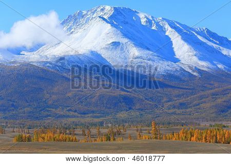 Altai (vuoristo)