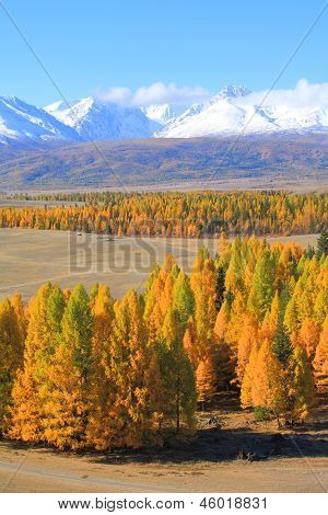 Altai (vuoristo)