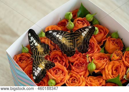 Lovely Tropical Butterflies In A Box Of Roses. Orange Roses And Butterflies. Unusual And Stylish Bou