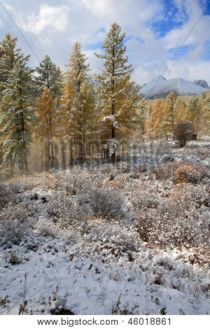 Altai (vuoristo)