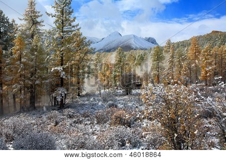 Altai-Gebirge, See Telezkoje, Süd-Sibirien, Russland