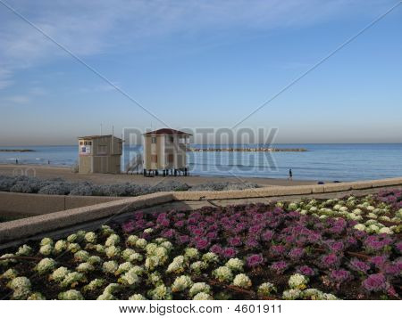 Akdeniz Beach Intel Aviv İsrail