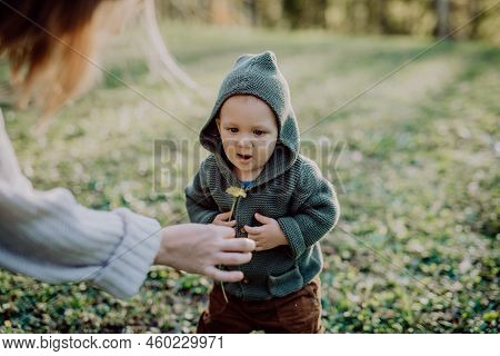 Portrait Of Cute Little Boy Wearing Knitted Hoodie In Nautre, Autumn Concept.