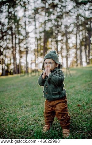 Portrait Of Cute Little Boy Wearing Knitted Hoodie In Nautre, Autumn Concept.