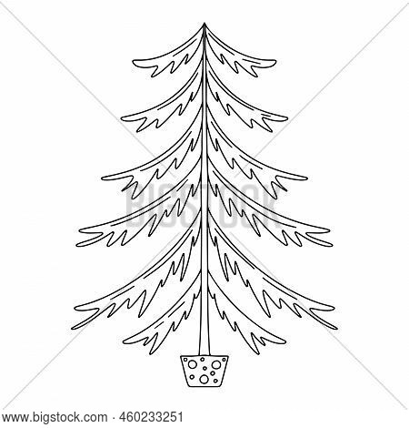 Fir Tree In Housepot In Hand Drawn Doodle Style. Simple Illustration Of Christmas Tree Vector.