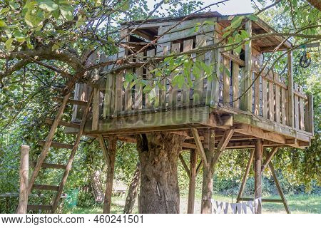 Wooden Treehouse Built On The Trunk Of A Tree Against Green Foliage In Blurred Background, Ladder To