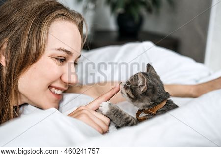 Cat Adoption, Adopt Kitten From Rescues And Shelters. Rehome A Cat. Portrait Of Woman Playing With O