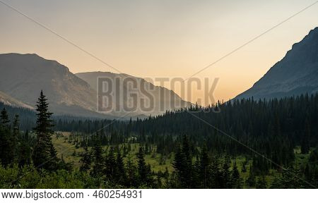 Forest In The Valley Of Cut Bank In Glacier National Park