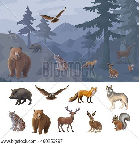Cartoon Colorful Forest Animals Set With Wild Boar Owl Fox Wolf Lynx Bear Deer Hare Squirrel Vector 