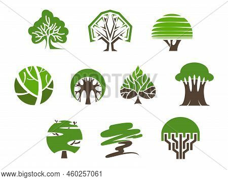 Park And Garden Tree Icons. Environment, Ecology, Growth And Lumber Symbols. Aabstract Green Tree Si
