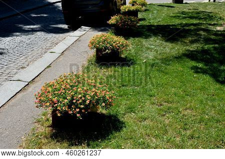Flower Pot For Road Side Palisades.gravel Mulch Gray,  Filled With Soil Substrate. Annuals Matched I