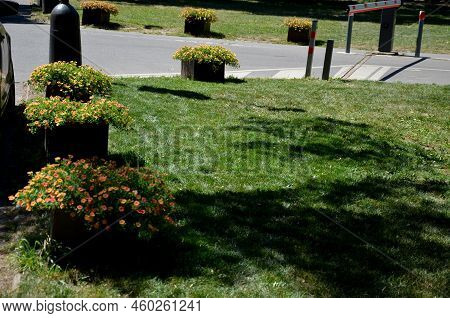 Flower Pot For Road Side Palisades.gravel Mulch Gray,  Filled With Soil Substrate. Annuals Matched I