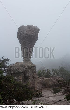 The Strange Stone ( Look Like A Trophy Cup ) With Mist In The Morning At Pa Hin Ngam National Park .