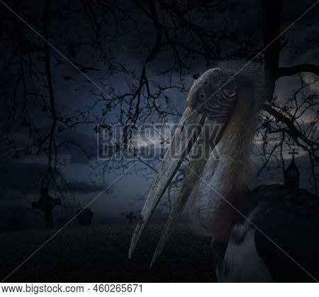 Lesser Adjutant Stork Bird Standing Over Grass, Dead Tree, Cross With Church Over Spooky Cloudy Sky,