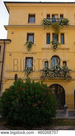 A Old House With White Rocktrumpet Flowers On Its  Balconies And A Deep Pink Oleander In Front In Th