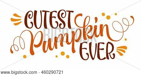 Cutest Pumpkin Ever - Hand Drawn Modern Lettering Phrase For Fall Events Decorations.