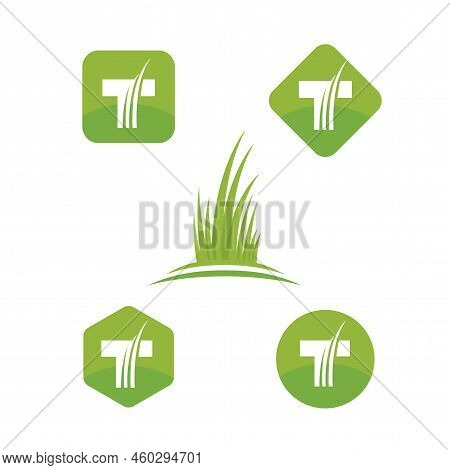Artificial Turf Lawn And Garden Care Company Creative Design Element. Green Grass Landscaping Compan