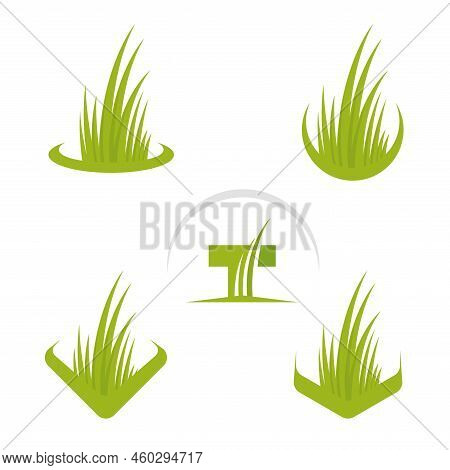 Artificial Turf Lawn And Garden Care Company Creative Design Element. Green Grass Landscaping Compan