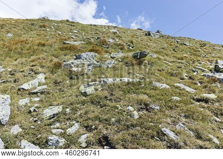 Landscape Of Rila Mountain Near Lovnitsa Peak, Bulgaria