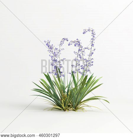 3D Illustration Of Dianella Caerulea Bush Isolated On White Background