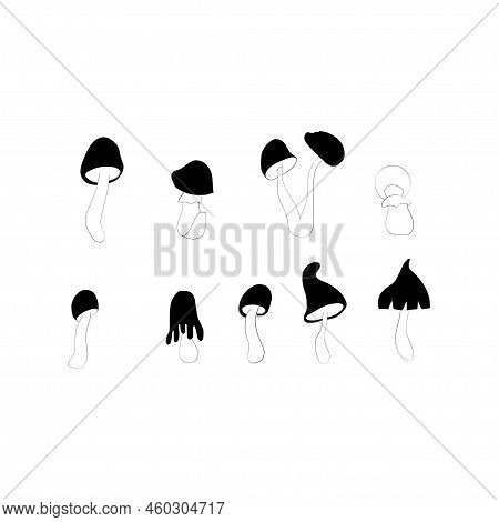Poisonous Mushrooms Vector Illustration Drawn By Hand, Family Of Inedible Mushrooms Dangerous Mushro
