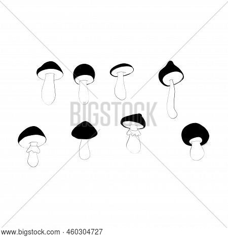 Poisonous Mushrooms Vector Illustration Drawn By Hand, Family Of Inedible Mushrooms Dangerous Mushro