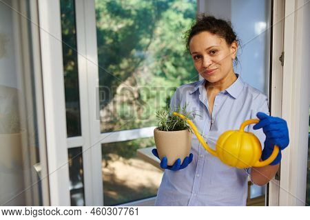 Beautiful Woman Of African Descent In Rubber Gloves Smiles Cutely At The Camera, Poses With Rosemary