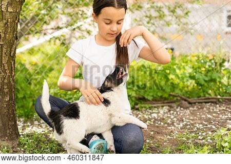 Portrait Of Happy Little Girl At Home With Puppy