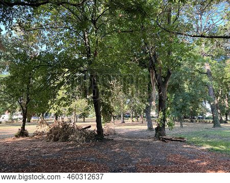 The Park Of The Hunting Castle In Bilje Or The Park Next To The Castle Of Eugene Of Savoy, Bilje - S