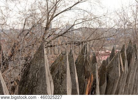 A Fragment Of A Wooden Fence Made Of Pointed Tree Trunks Against The Background Of Bare Branches Of