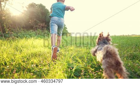 Happy Family. Kid And Dog Run Legs Close-up In The Park At Sunset. People In The Park Concept Boy So