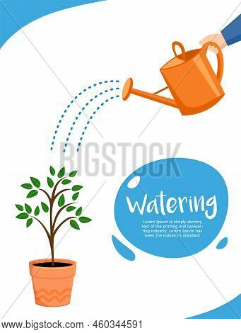 Watering. Concept Of Plant Growth Or Business.