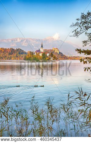 Stunning Sunset View Of Popular Tourist Destination  Bled Lake. Dramatic View Of Pilgrimage Church O