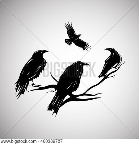 Birds Silhouette - Crows Sitting On A Dry Trees