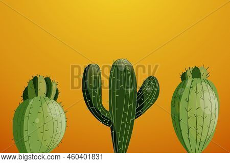 Tall Succulent Cactuses With Thorns On Color Background. Vector Drawing Set Illustration For Icon, G