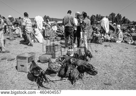 Axum, Ethiopia - July 1, 1998: People At Central Market In Axum, Ethiopia. In Foreground Cocks. Peop