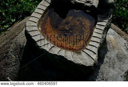 There Is A Stone Bird Feeder On The Lawn. It Has A Jagged Edge And Is Full Of Water. Small Animals A